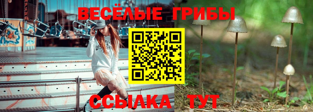 Слободской  Галлюциногенные грибы мухоморы  Вход с VPN 
