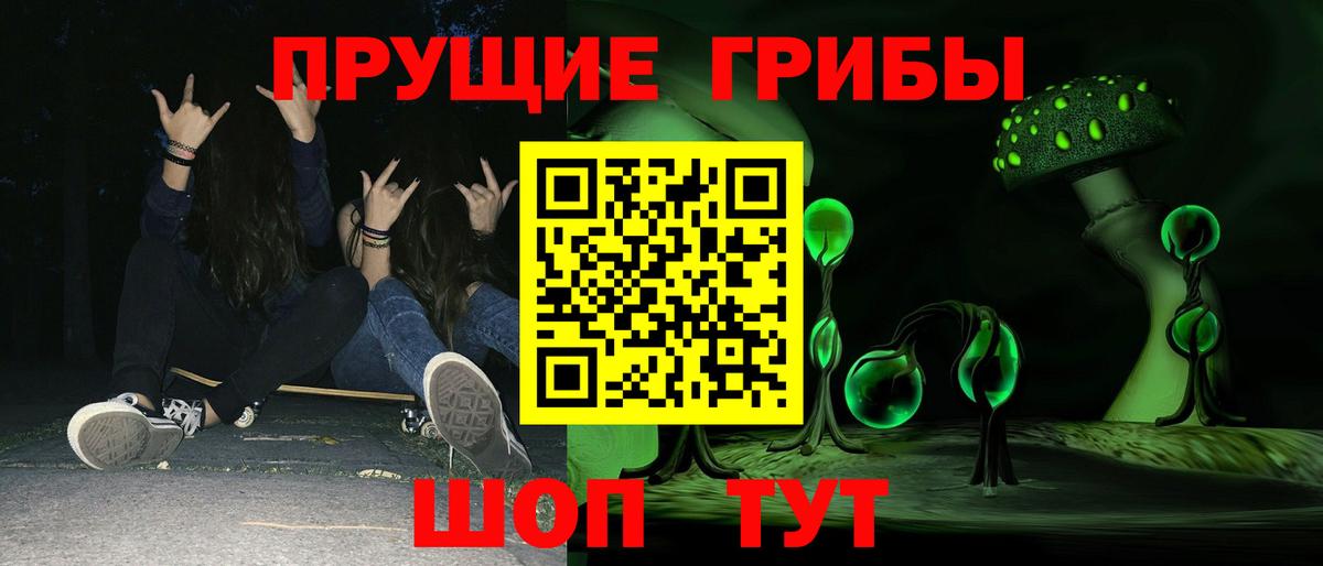 Псилоцибиновые грибы Psilocybine cubensis Слободской